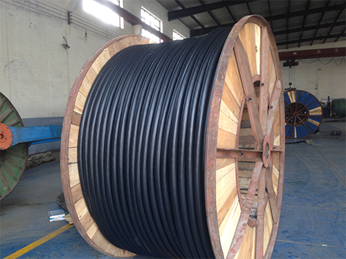 �͟��o(w��)�u��|